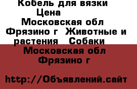 Кобель для вязки › Цена ­ 5 000 - Московская обл., Фрязино г. Животные и растения » Собаки   . Московская обл.,Фрязино г.